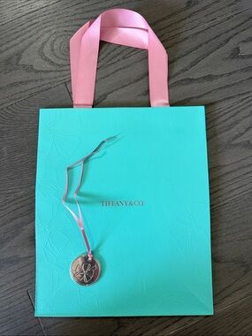 Tiffany & Co. Teal bag with Pink Ribbon Handles and Silver Charm